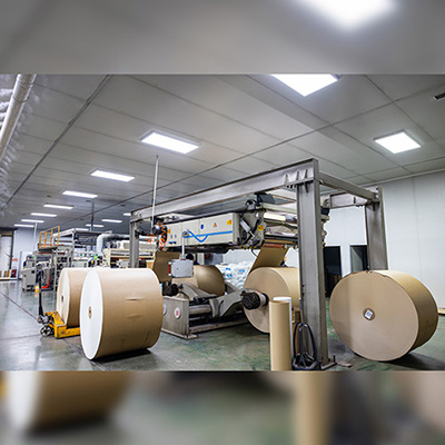 Natural Kraft PE Coated Paper product image