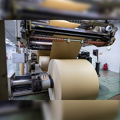 Natural Kraft PE Coated Paper detail display