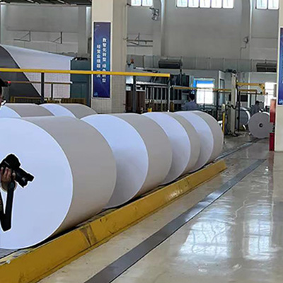 Paper Cup Base Paper Product Showcase