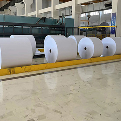 Paper Cup Base Paper Product Showcase