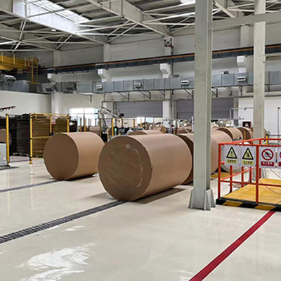 Brown Paper Cup Base Paper Product Display