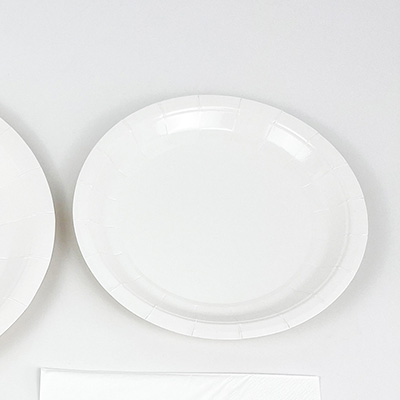 Disposable Paper Plate Product Display