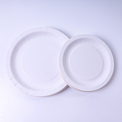 Disposable Paper Plate Product Display