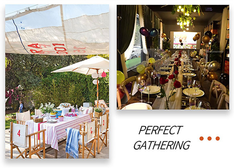 Disposable Paper Plate Application