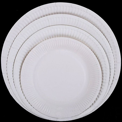 Disposable Paper Plate Product Display