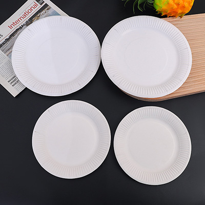 Disposable Paper Plate Product Display