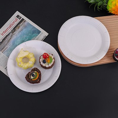 Disposable Paper Plate Product Display