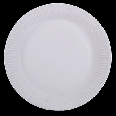 Disposable Paper Plate Product Display