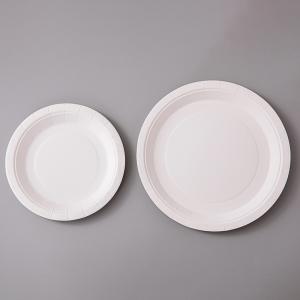 Eco-Friendly Parties and Food Serving White Paper Plate