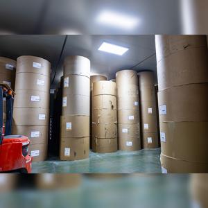 Food Grade Uncoated Paper Cup Base Paper