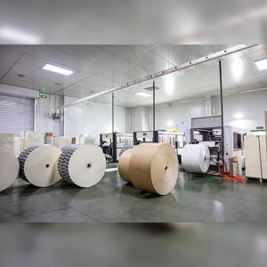 Natura Brownl Kraft PE Coated Paper Cup Paper