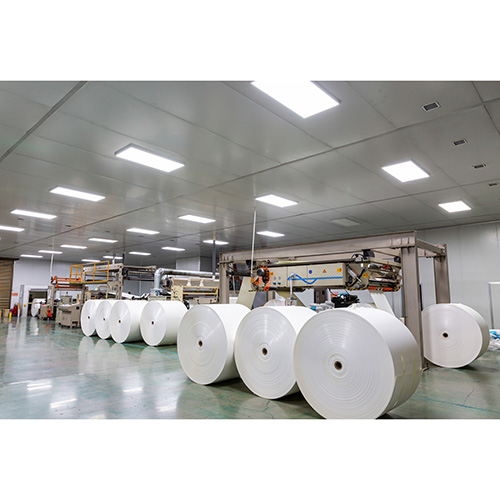 White PE Coated Paper Roll