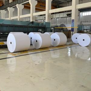 Paper Cup Base Paper